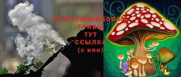 стаф Гусиноозёрск