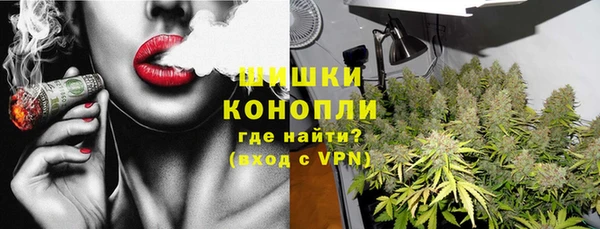 стаф Гусиноозёрск