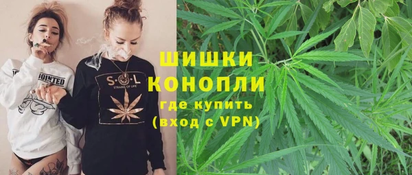 прущая мука Гусев