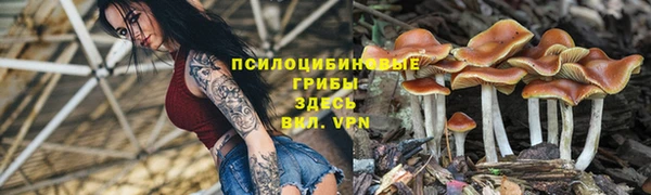 стаф Гусиноозёрск